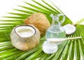 Coconut oil. Royalty Free Stock Photo