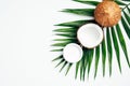 Coconut oil moisturizing cream, natural SPA lotion for hands and body with tropical palm leaf on white background. Flat lay, top