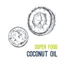 Coconut oil. Super food hand drawn sketch vector