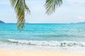 Coconut palm leaves on empty tropical beach with white soft wave in blue sea