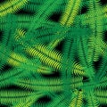 Coconut palm leaves seamless pattern Royalty Free Stock Photo