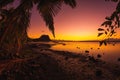 Coconut palm and low tide ocean at sunset time. Le Morn mountain on background Royalty Free Stock Photo