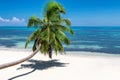 Coconut palm over exotic beach on tropical island Royalty Free Stock Photo