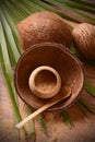 Coconut palm sugar