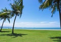 Coconut palm tree against blue sky in Tanjung Aru beach Royalty Free Stock Photo