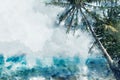 Coconut palm tree on the beach, blue shade image, digital watercolor painting