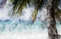 Coconut palm tree on the beach Royalty Free Stock Photo