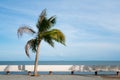 Coconut palm tree on the beach road, sea view background with copy space Royalty Free Stock Photo