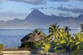 Coconut Palm tree on the beach, sea and mountains at sunset, Tahiti Royalty Free Stock Photo