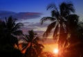 Coconut Palm tree on the beach, sea and mountains at sunset, Tahiti. Royalty Free Stock Photo