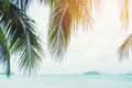 Coconut palm tree beach summer concept Royalty Free Stock Photo