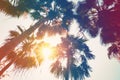 coconut palm tree on beach and sunlight with vintage toned effect. Royalty Free Stock Photo