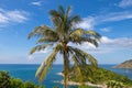 Coconut palm tree with beautiful sea view and sky background Royalty Free Stock Photo