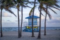 Coconut palm tree on a beautiful sunny summer afternoon in Hollywood Beach near Miami Royalty Free Stock Photo