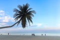 Coconut palm tree on beautiful white sandy beach and cloudy blue sky with blurred background of tourists, nice sea view tropical Royalty Free Stock Photo