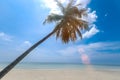 Coconut palm tree on beautiful white sandy beach and cloudy blue sky, nice sea view tropical landscape summer beach, relaxation Royalty Free Stock Photo