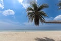 Coconut palm tree on beautiful white sandy beach and cloudy blue sky, nice sea view tropical landscape summer beach, relaxation Royalty Free Stock Photo