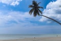 Coconut palm tree on beautiful white sandy beach and cloudy blue sky, nice sea view tropical landscape summer beach, relaxation Royalty Free Stock Photo