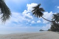 Coconut palm tree on beautiful white sandy beach and cloudy blue sky, nice sea view tropical landscape summer beach, relaxation Royalty Free Stock Photo