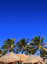 Coconut palm tree blue sky hut palapa sun roof Royalty Free Stock Photo