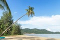 Coconut palm tree lean sloping over the tropical beach at Koh Chang island , Trat , Thailand Royalty Free Stock Photo