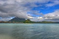 Coconut Palm Tree Moorea Beach French Polynesia Royalty Free Stock Photo