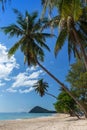 Coconut palm tree sand beach on blue sky day holiday travel Royalty Free Stock Photo