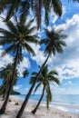 Coconut palm tree sand beach on blue sky day holiday travel Royalty Free Stock Photo