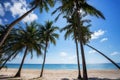 Coconut palm tree sand beach on blue sky day holiday travel Royalty Free Stock Photo