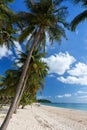 Coconut palm tree sand beach on blue sky day holiday travel Royalty Free Stock Photo