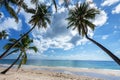 Coconut palm tree sand beach on blue sky day holiday travel Royalty Free Stock Photo