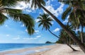 Coconut palm tree sand beach on blue sky day holiday travel Royalty Free Stock Photo