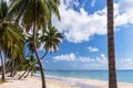 Coconut palm tree sand beach on blue sky day holiday travel Royalty Free Stock Photo