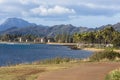 Coconut Palm tree on the sandy beach in Kapaa Hawaii, Kauai Royalty Free Stock Photo