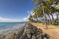 Coconut Palm tree on the sandy beach in Kapaa Hawaii, Kauai Royalty Free Stock Photo