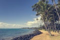 Coconut Palm tree on the sandy beach in Kapaa Hawaii, Kauai Royalty Free Stock Photo