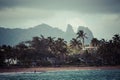 Coconut Palm tree on the sandy beach in Kapaa Hawaii, Kauai Royalty Free Stock Photo