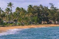 Coconut Palm tree on the sandy beach in Kapaa Hawaii, Kauai Royalty Free Stock Photo