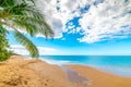 Coconut palm tree by the sea in La Perle beach. Guadeloupe Royalty Free Stock Photo