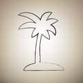 Coconut palm tree sign. Vector. Brush drawed black icon at light