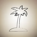 Coconut palm tree sign. Vector. Brush drawed black icon at light