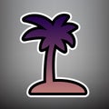 Coconut palm tree sign. Vector. Violet gradient icon with black