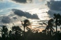 Coconut palm tree silhouette at sun sunlight sunset. Amazing sky and cloudscape in background. Remote island tropical Beach. Dusk Royalty Free Stock Photo