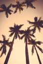 Coconut palm tree sunset silhouette vintage retro