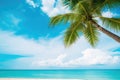 Coconut palm tree on tropical beach with blue sky and sea background Royalty Free Stock Photo
