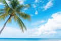 Coconut palm tree on tropical beach with blue sky and sea background Royalty Free Stock Photo