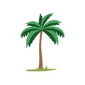 Coconut palm tree vector illustration, tropical plants flat icon design template elements Royalty Free Stock Photo