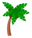 Coconut palm tree on a white background. Bent palm tree with large green leaves cartoon style Royalty Free Stock Photo