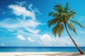 Coconut palm tree on tropical beach with blue sky and sea background Royalty Free Stock Photo