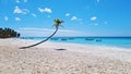 Coconut palm tree on white sandy beach and small boats in the sea. Dominican Republic Royalty Free Stock Photo